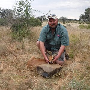 Steenbok Namibia Hunt