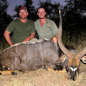 Nyala Hunting