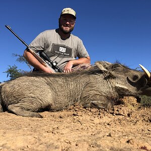 Warthog Hunting Eastern Cape South Africa