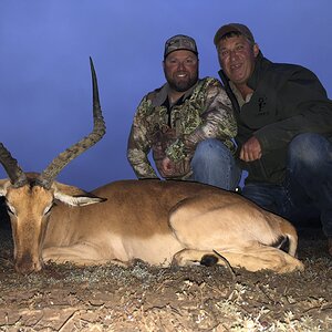 Impala Hunting Eastern Cape South Africa