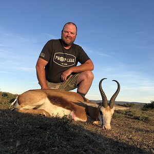 Springbok Hunting Eastern Cape South Africa