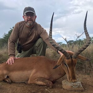 Impala Hunting South Africa