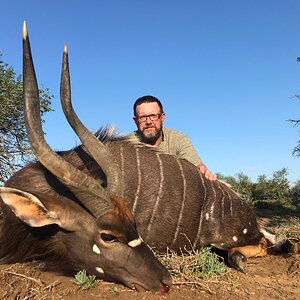 Nyala Hunting South Africa