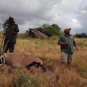 Gemsbok Hunting Namibia