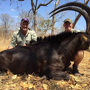 Sable Hunt Mozambique