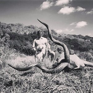 Kudu Hunt South Africa