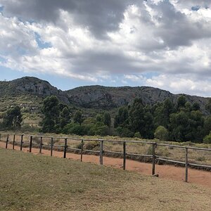 Limpopo Nature South Africa