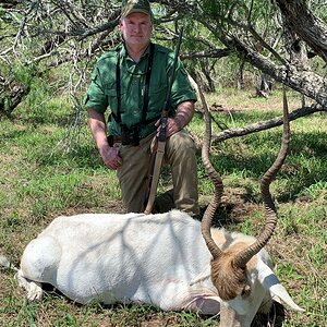 Addax Hunting