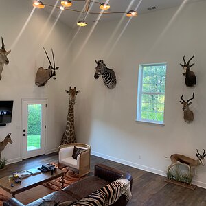 Trophy Room