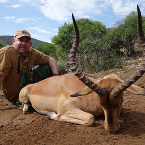 Impala Hunt Eastern Cape South Africa