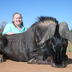 Black Wildebeest Hunt South Africa