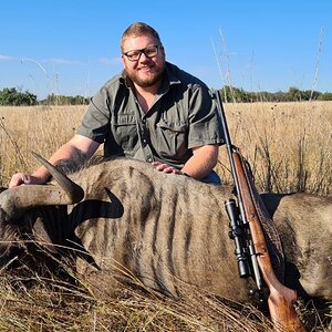 Blue Wildebeest Hunt Free State South Africa