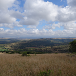 Eastern Cape South Africa Nature