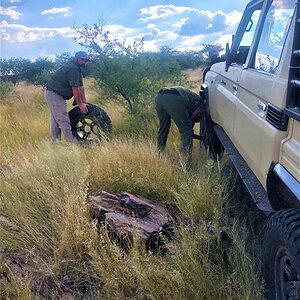 Namibia Nature