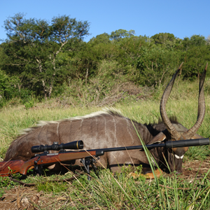 Nyala Hunting South Africa