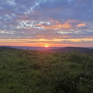 Eastern Cape South Africa Nature