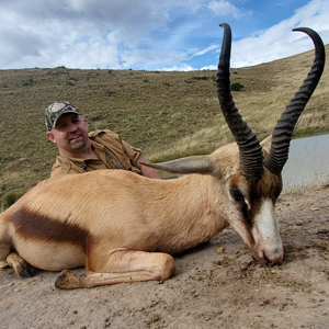 Copper Springbok Hunting South Africa