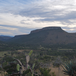 Eastern Cape Nature South Africa