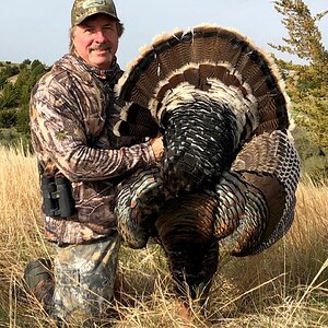 Turkey Hunt Northern Nebraska