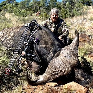 Buffalo Hunt Free State South Africa