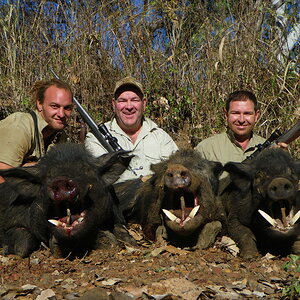 Pig Hunting Australia