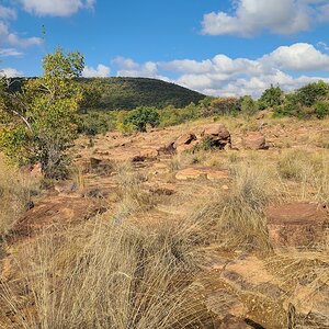 Limpopo Nature