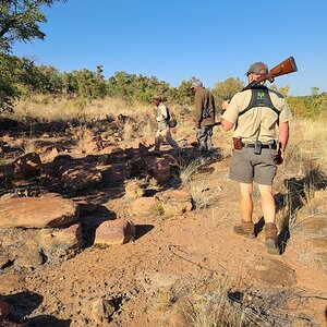 Limpopo Nature South Africa