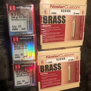 9.3x74 Brass & Bullets Ammunition