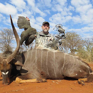 Nyala Bow Hunt South Africa