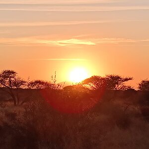 Limpopo Nature South Africa