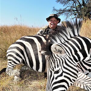 Burchell's Zebra Hunt South Africa