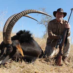 Sable Hunt Waterberg Mountains Limpopo Province Of South Africa