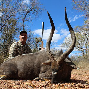 Nyala Hunting Waterberg Mountains Limpopo province of South Africa