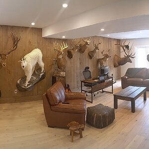 Trophy Room