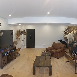 Trophy Room