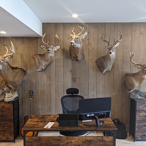 Trophy Room