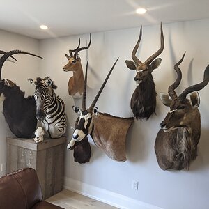 Trophy Room