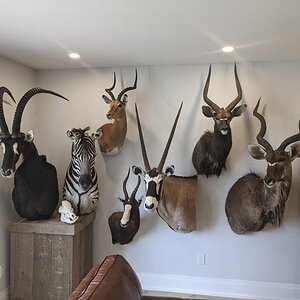 Trophy Room