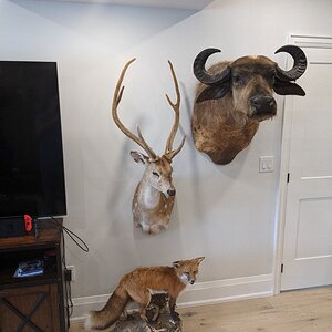 Trophy Room