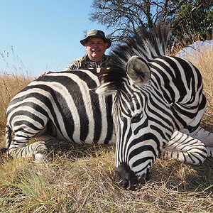 Zebra Hunting South Africa