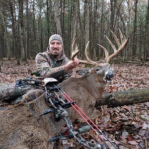 Whitetail Deer Bowhunting