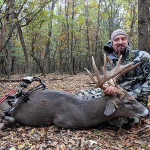 Whitetail Deer Bowhunting