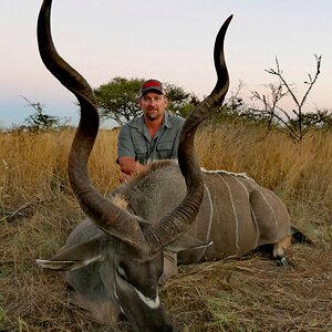 Kudu Hunting South Africa