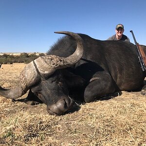 Buffalo Hunting