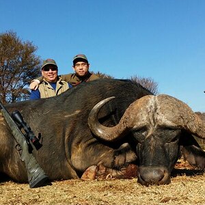 Cape Buffalo Hunt