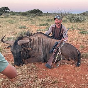 Blue Wildebeest Hunt