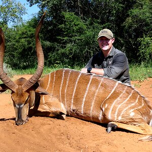 Nyala Hunting South Africa