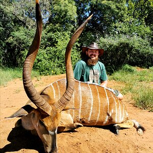 Nyala Hunting South Africa