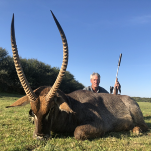 Waterbuck Hunt Eastern Cape South Africa