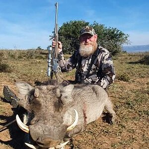 Warthog Hunt